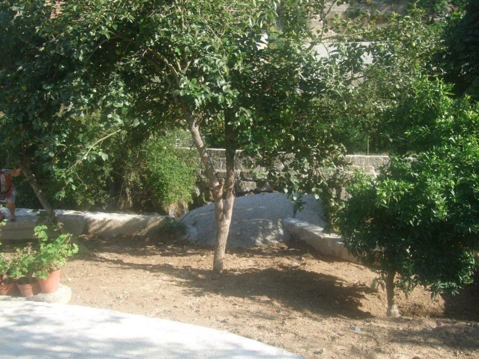 Casa Moinhos Do Rio Villa Paredes  Luaran gambar